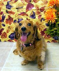 Diva Thanks 10.jpg